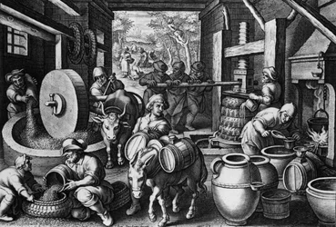 Oleum Olivarum, Plate 12 from 